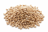 Barley from Ukraine